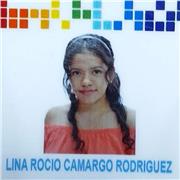 Profesora de matemática básica , futura contadora Publica, ofrece clases particulares para niños e interesados, en la ciudad de santa marta